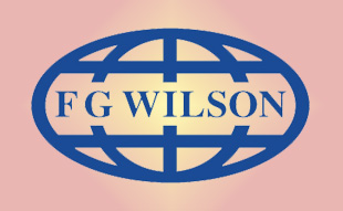 ✓ FG-Wilson 300552 Обойма подшипника 