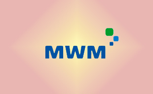 ✓ MWM 323011 Маслонасос предварительной смазки 